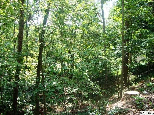 9086 Pitcairn Dr, Tega Cay, SC 29708