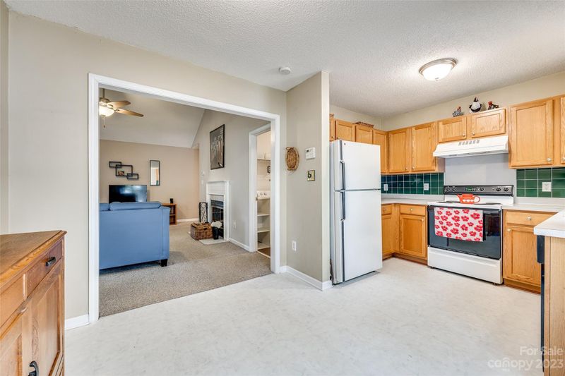 13208 Tuttle Bee Ct, Charlotte, NC 28273