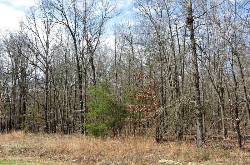 0 E Sandy Ridge Rd, Monroe, NC 28112