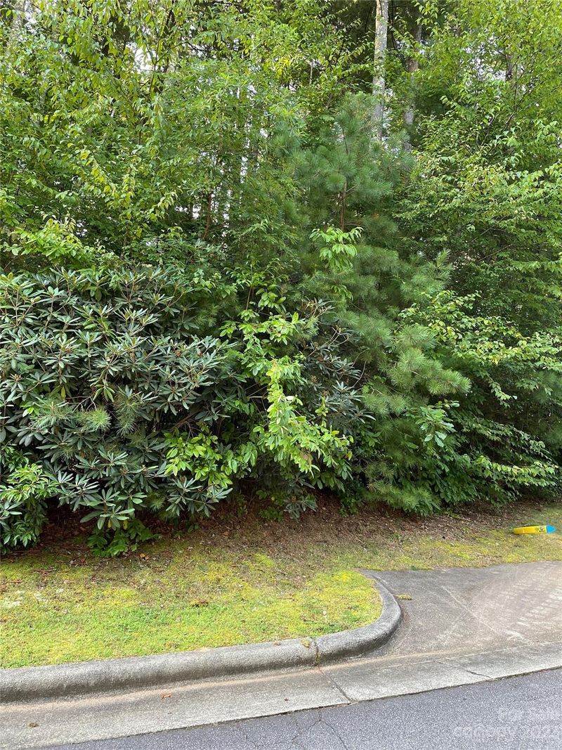 V48-49 Camptown Rd #V48&49, Brevard, NC 28712