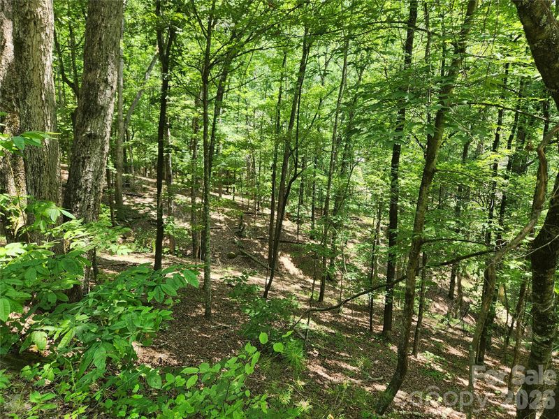 0 Walnut Ln, Lake Lure, NC 28746