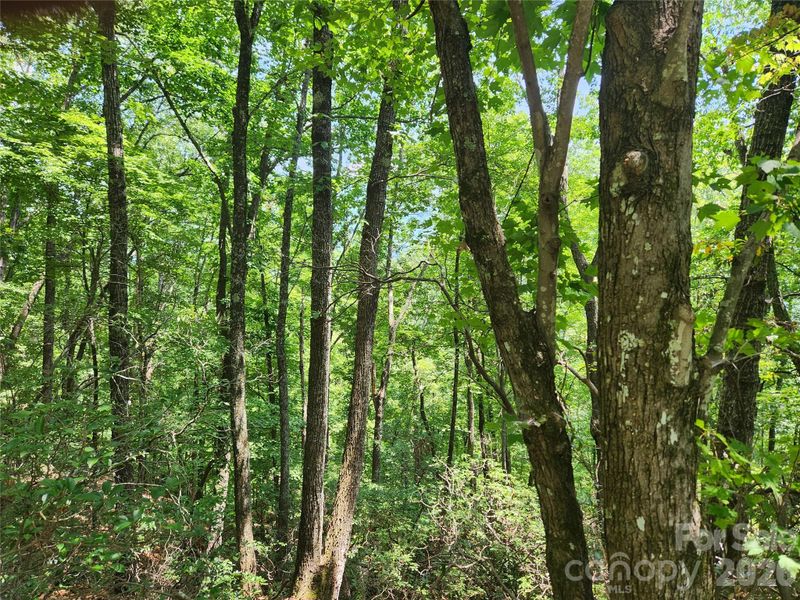 0 Summit Ct, Lake Lure, NC 28746