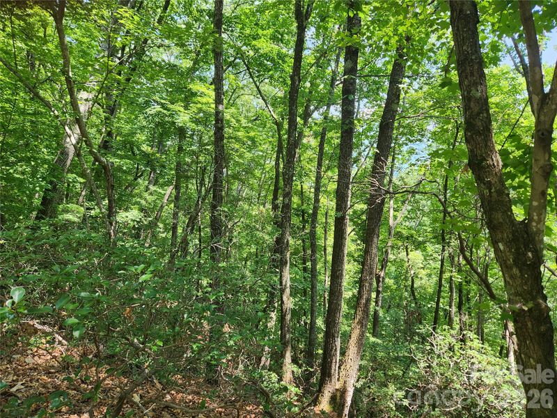 0 Summit Ct, Lake Lure, NC 28746