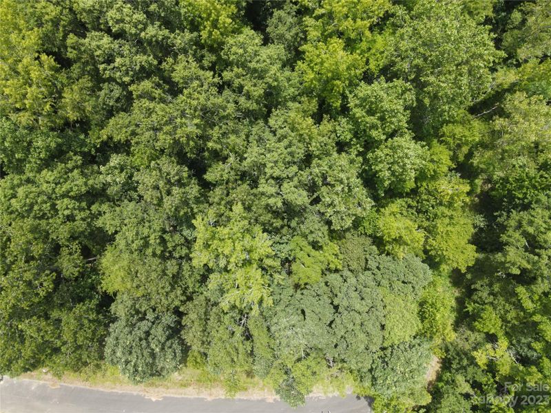 TBD Wilderness Ln #19, Lancaster, SC 29720