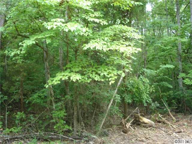 0 Neck Rd, Huntersville, NC 28078