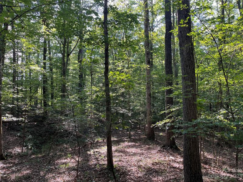 399 Ce Stewart Rd, Clover, SC 29710