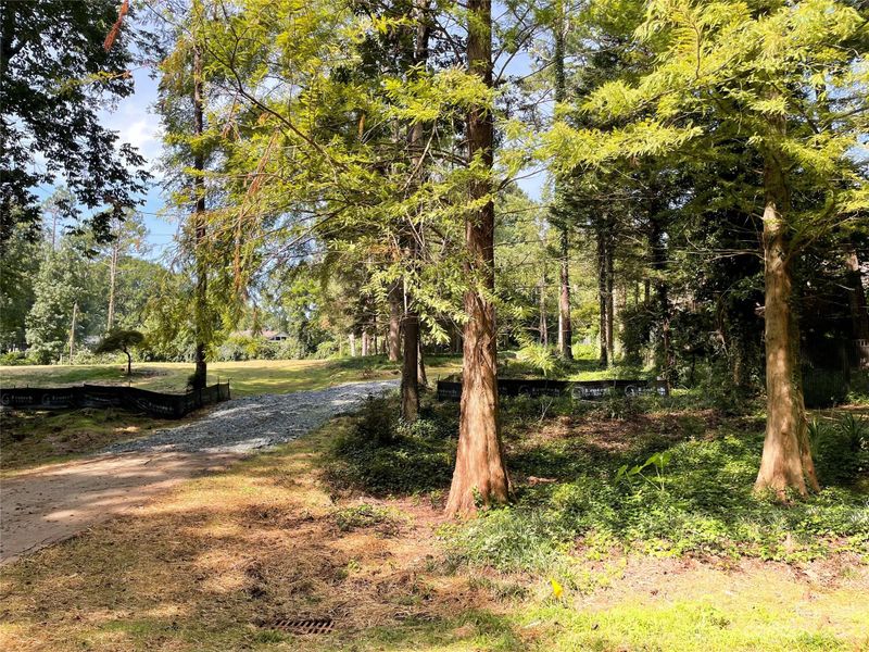 204 Bubbling Well Rd, Matthews, NC 28105