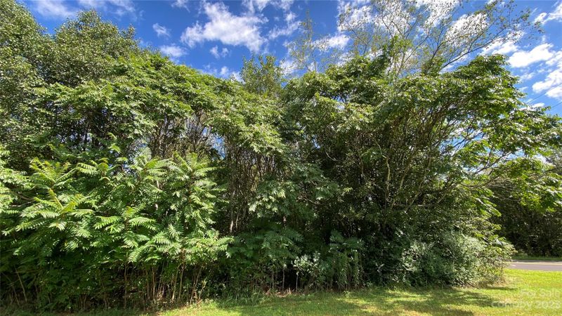 0 Fish Pond Rd #4, Cherryville, NC 28021