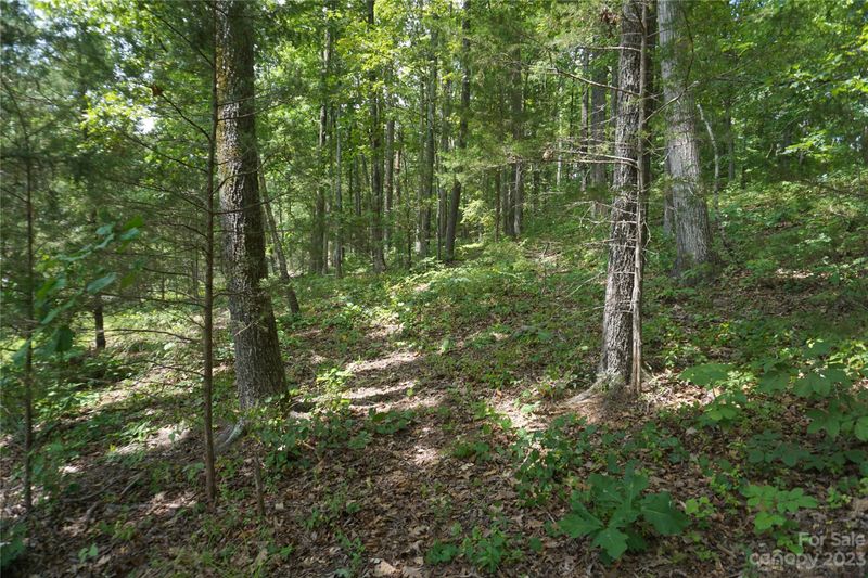 411 Carolina Downs, York, SC 29745