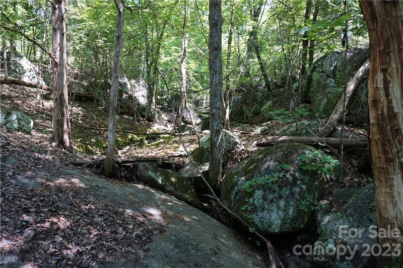 0 Shillinglaw Rd, Sharon, SC 29742