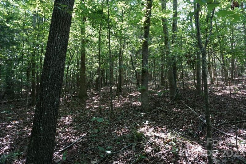 0 Shillinglaw Rd, Sharon, SC 29742