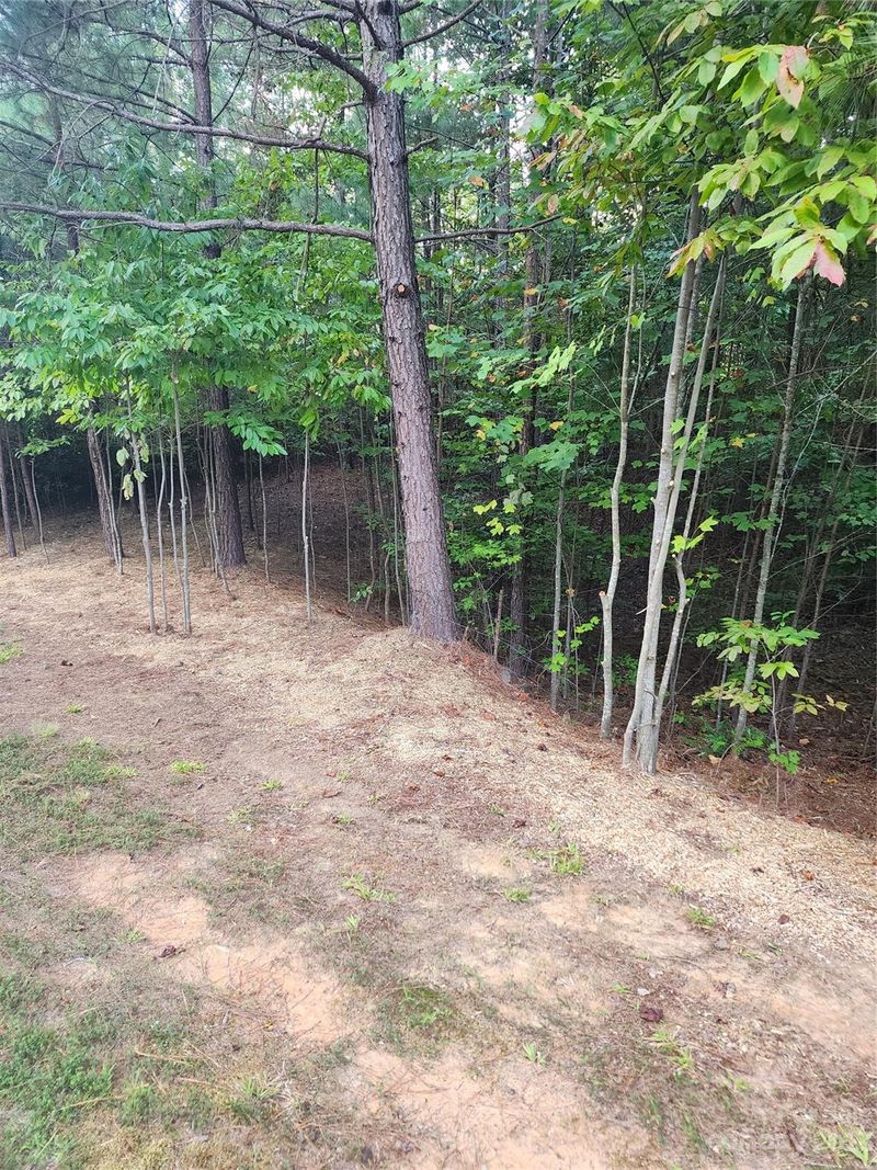 1321 Ron Whicker Dr, Catawba, NC 28609