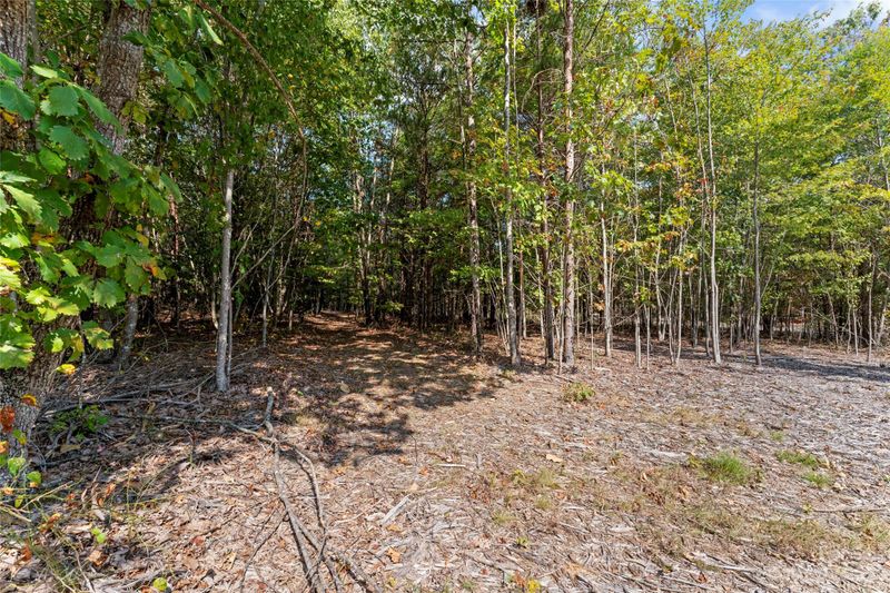 000 Pinnacle View Dr, Kings Mountain, NC 28086