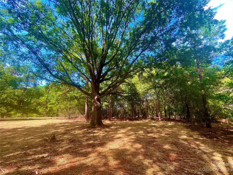 228 Big Indian Loop #4, Mooresville, NC 28117