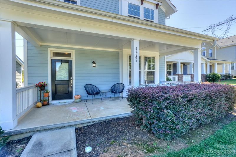 12547 Stonebriar Ridge Dr, Davidson, NC 28036