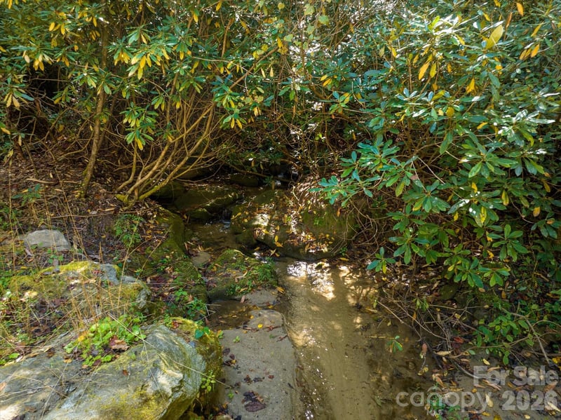 0 Big Hungry Rd, Flat Rock, NC 28731