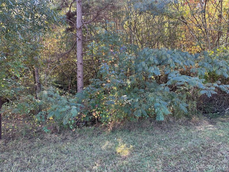 137 Cedarvale Dr, Harmony, NC 28634