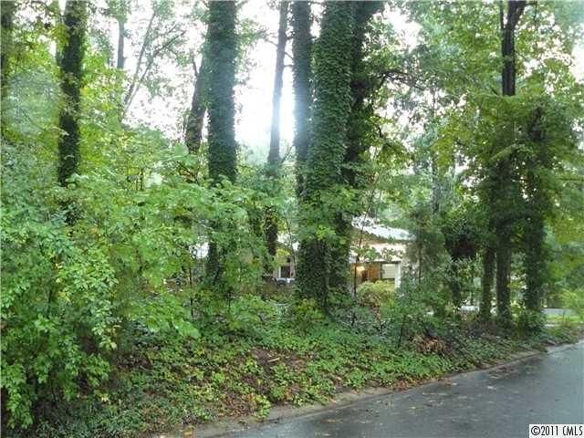 145 Vernon Dr, Davidson, NC 28036
