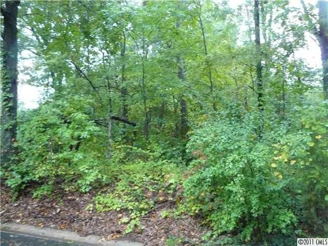 145 Vernon Dr, Davidson, NC 28036