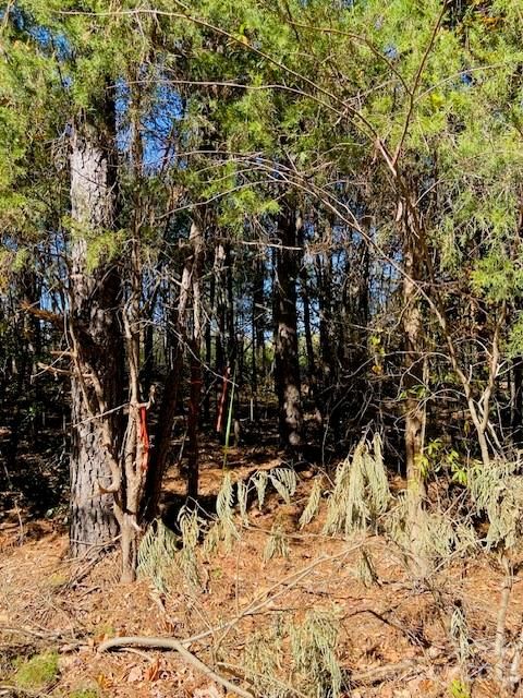 00 W North Corner Rd #A, Lancaster, SC 29720