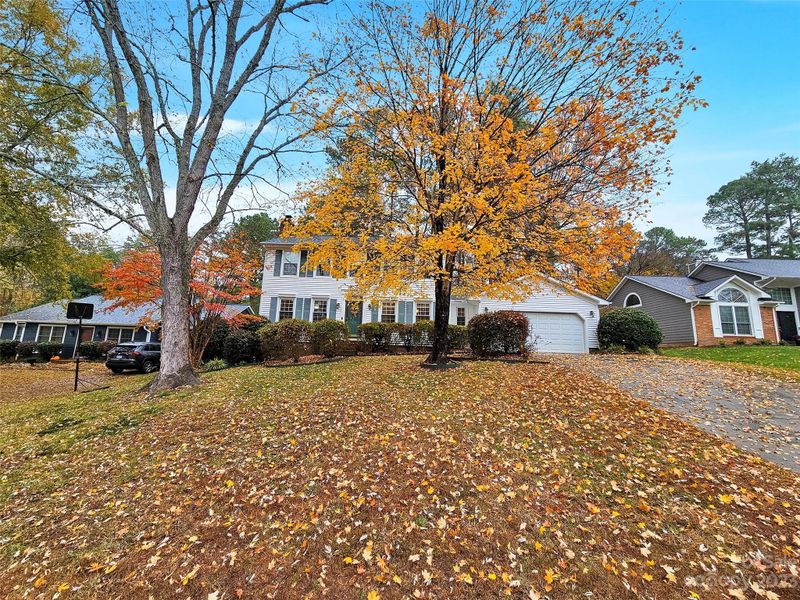 9909 Applevalley Ct, Charlotte, NC 28269