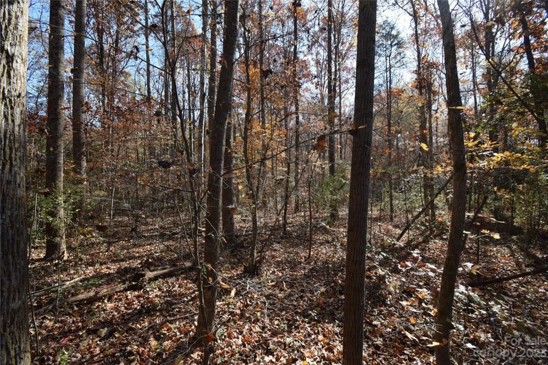 00 Irene Dr, Mount Holly, NC 28120