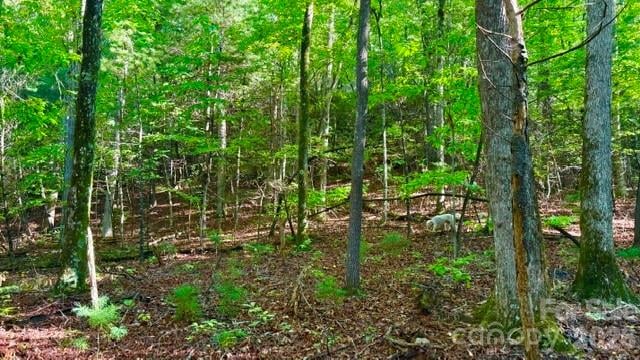 0000 Juniper Berry Ln #17R, Zirconia, NC 28792