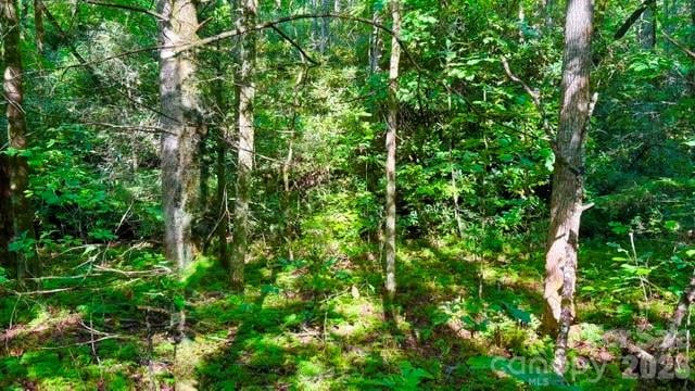 0000 Juniper Berry Ln #17R, Zirconia, NC 28792