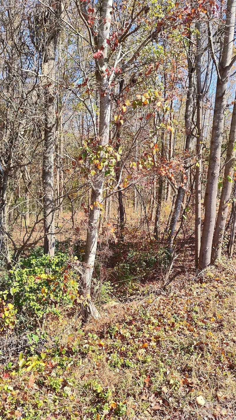 000 Tomlin Rd, Harmony, NC 28634