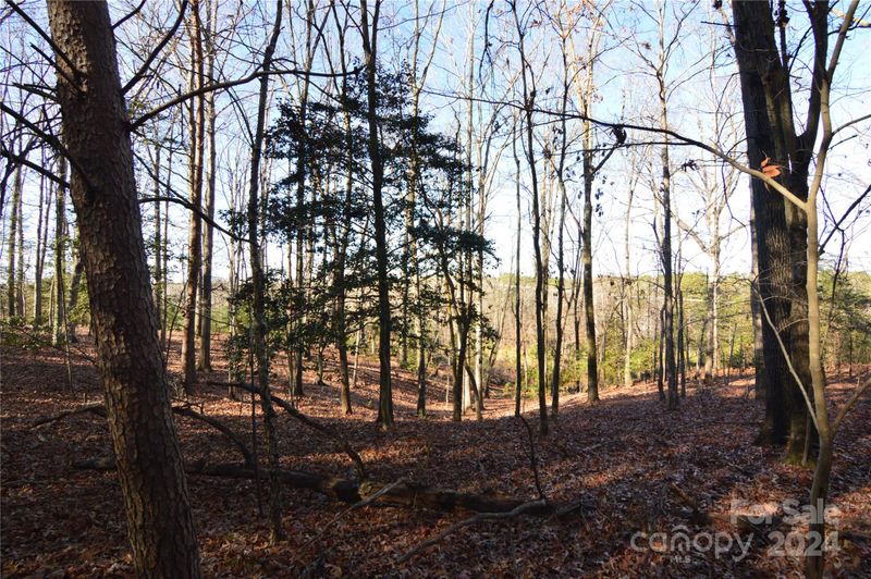 1320 Reflection Pointe Blvd #329, Belmont, NC 28012
