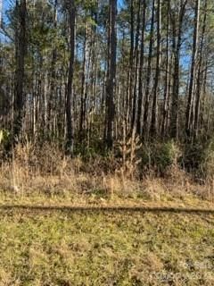 E Nc 10 Hw, Catawba, NC 28609
