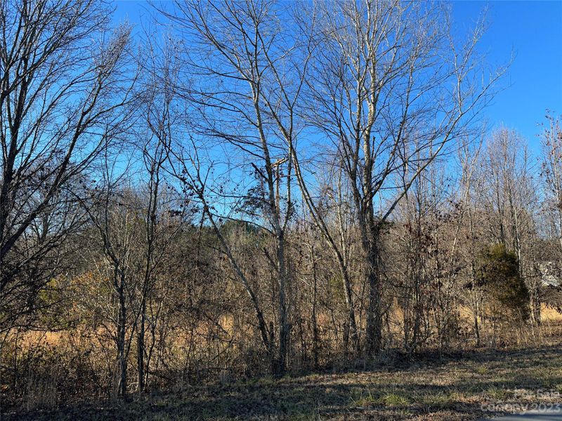 11 Bridges St, Catawba, NC 28609