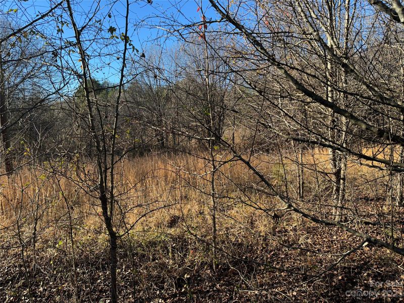 11 Bridges St, Catawba, NC 28609