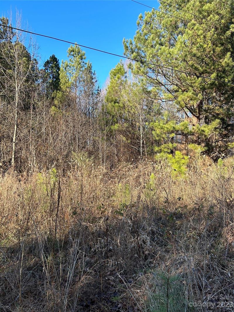 00 Burris Rd, Denver, NC 28037