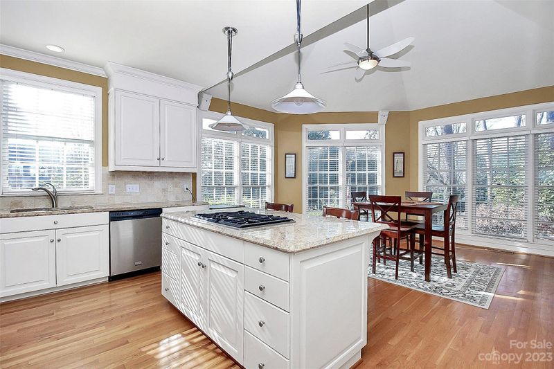 18821 Halyard Pointe Ln, Cornelius, NC 28031