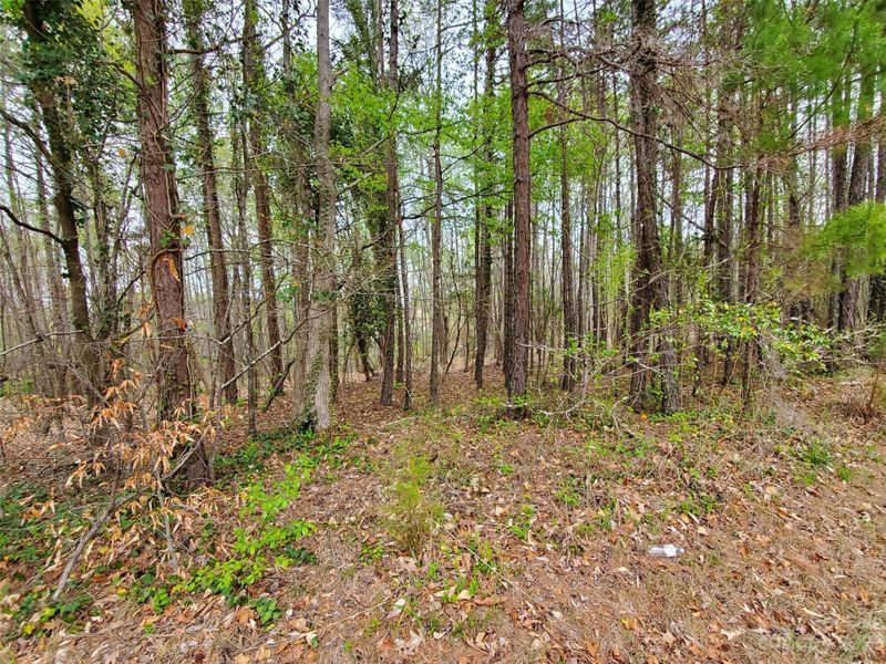2511 Forest Lawn Dr, Matthews, NC 28104