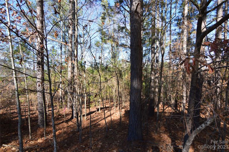 3028 Lake Pointe Dr #172, Belmont, NC 28012