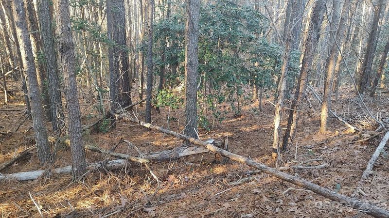 120 Pebble Creek Dr #53, Stony Point, NC 28678