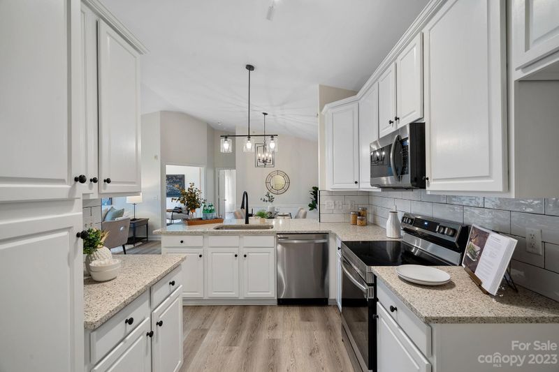 16947 Doe Valley Ct, Cornelius, NC 28031