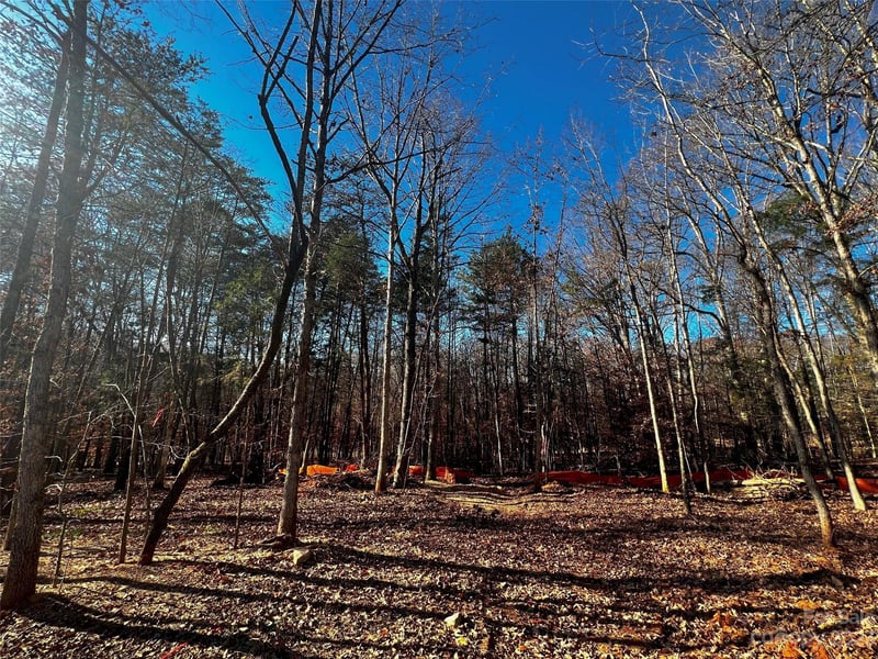 156 Copper Pine Ln #5, Davidson, NC 28036