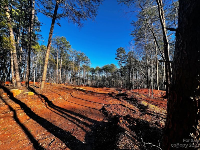 130 Hunt Camp Trl #14, Davidson, NC 28036