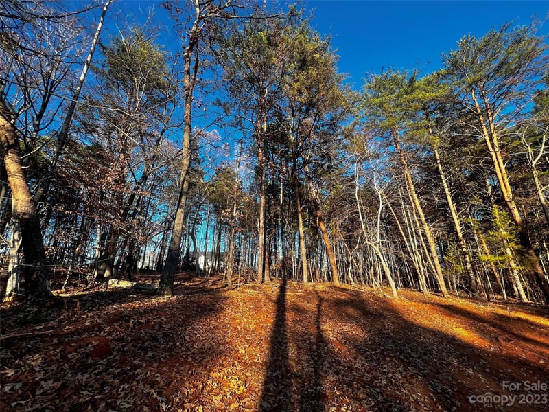 127 Hunt Camp Trl #16, Davidson, NC 28036