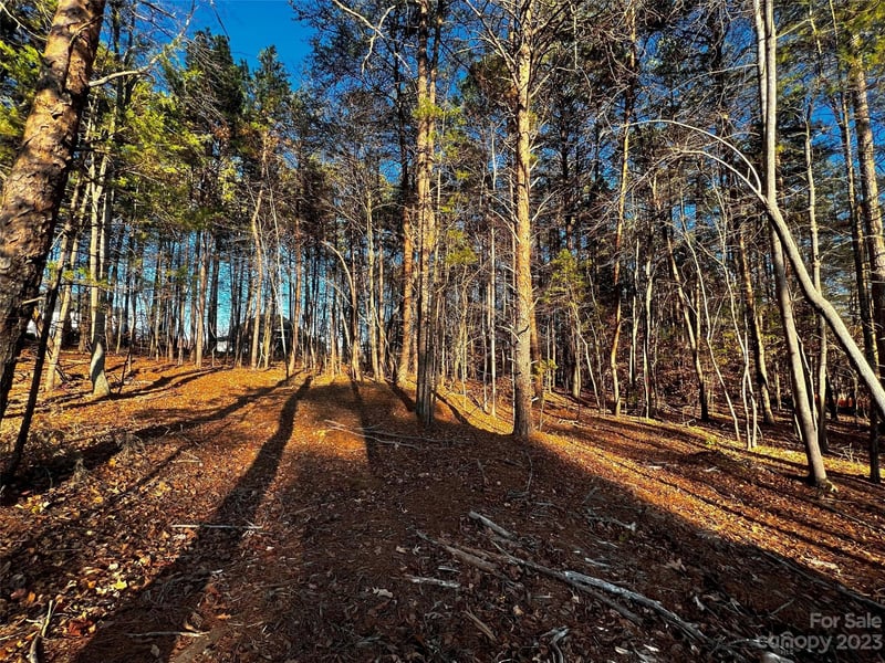 127 Hunt Camp Trl #16, Davidson, NC 28036