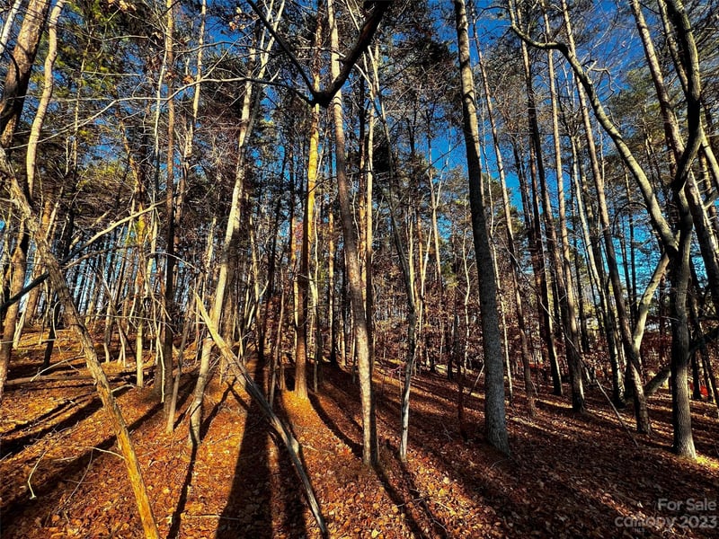 127 Hunt Camp Trl #16, Davidson, NC 28036
