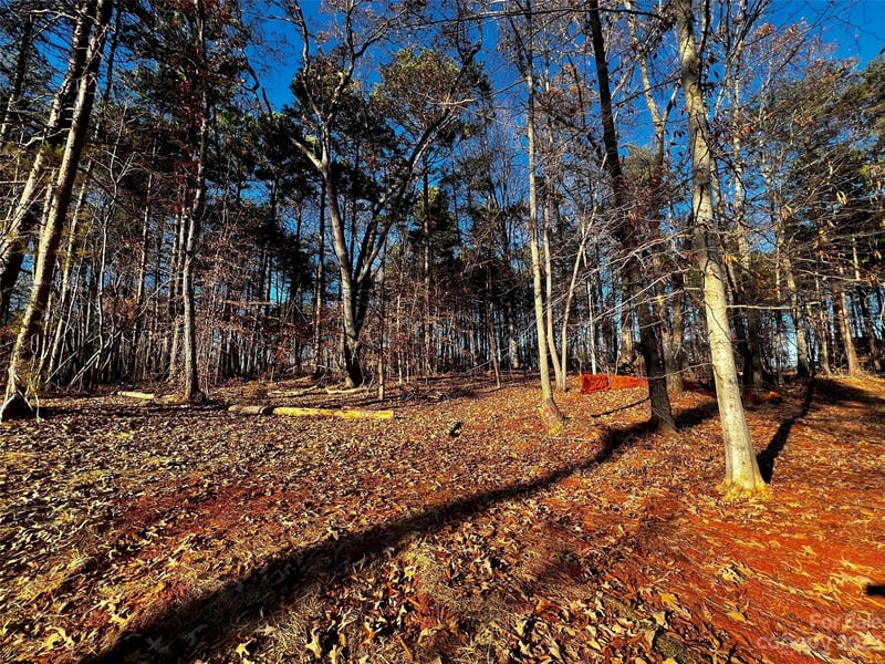 123 Hunt Camp Trl #17, Davidson, NC 28036