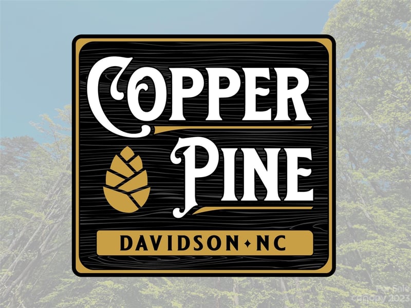 109 Hunt Camp Trl #19, Davidson, NC 28036