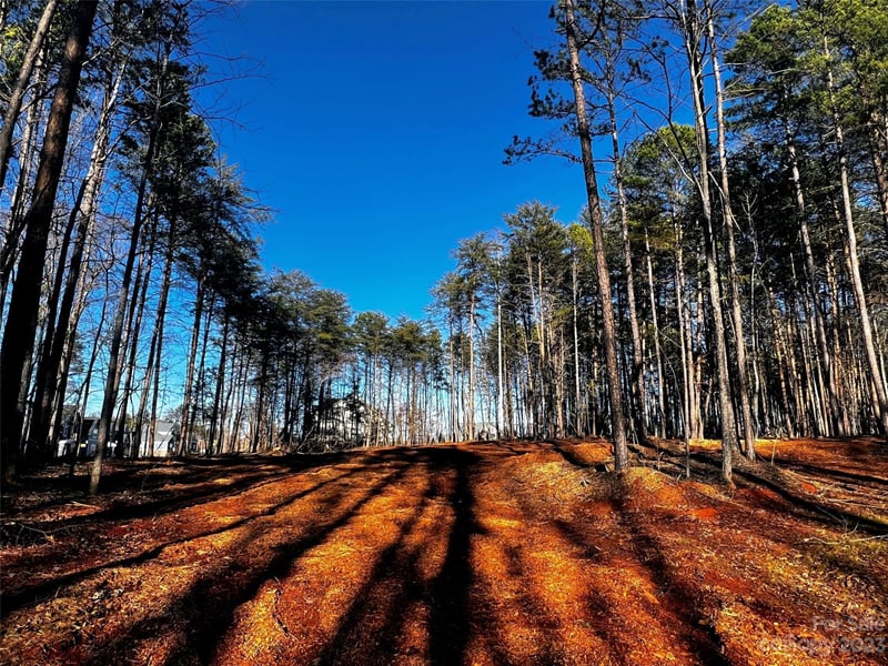 109 Hunt Camp Trl #19, Davidson, NC 28036