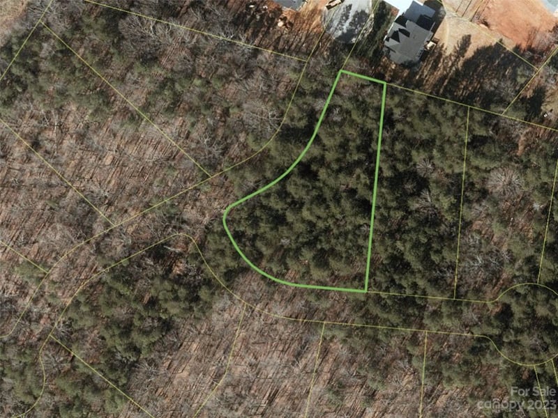 109 Hunt Camp Trl #19, Davidson, NC 28036
