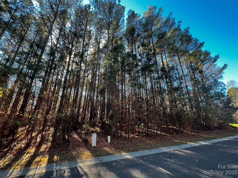 129 Sleepy Cove Trl #5, Mooresville, NC 28117