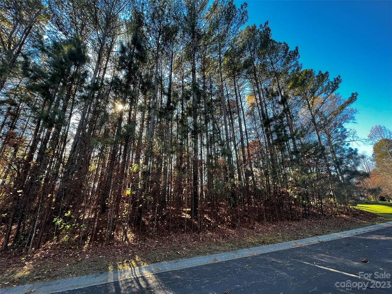 129 Sleepy Cove Trl #5, Mooresville, NC 28117